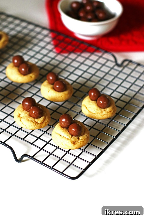 Freshly baked peanut butter cookies with Whopper candy spiders cooling on a black wire rack, ready for decoration.