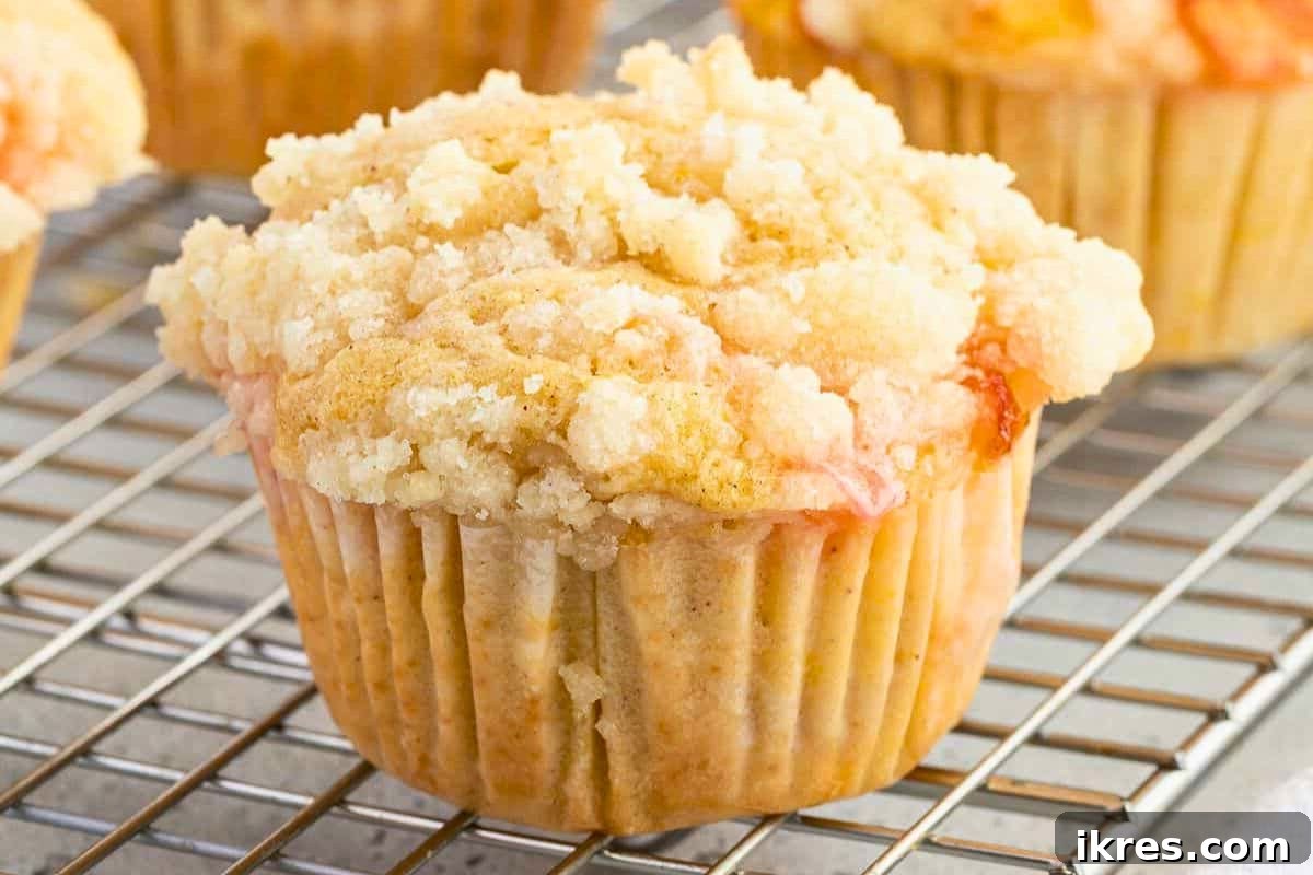 An inviting assortment of 16 different tried and true muffin recipes, showcasing various flavors perfect for make-ahead brunch options.
