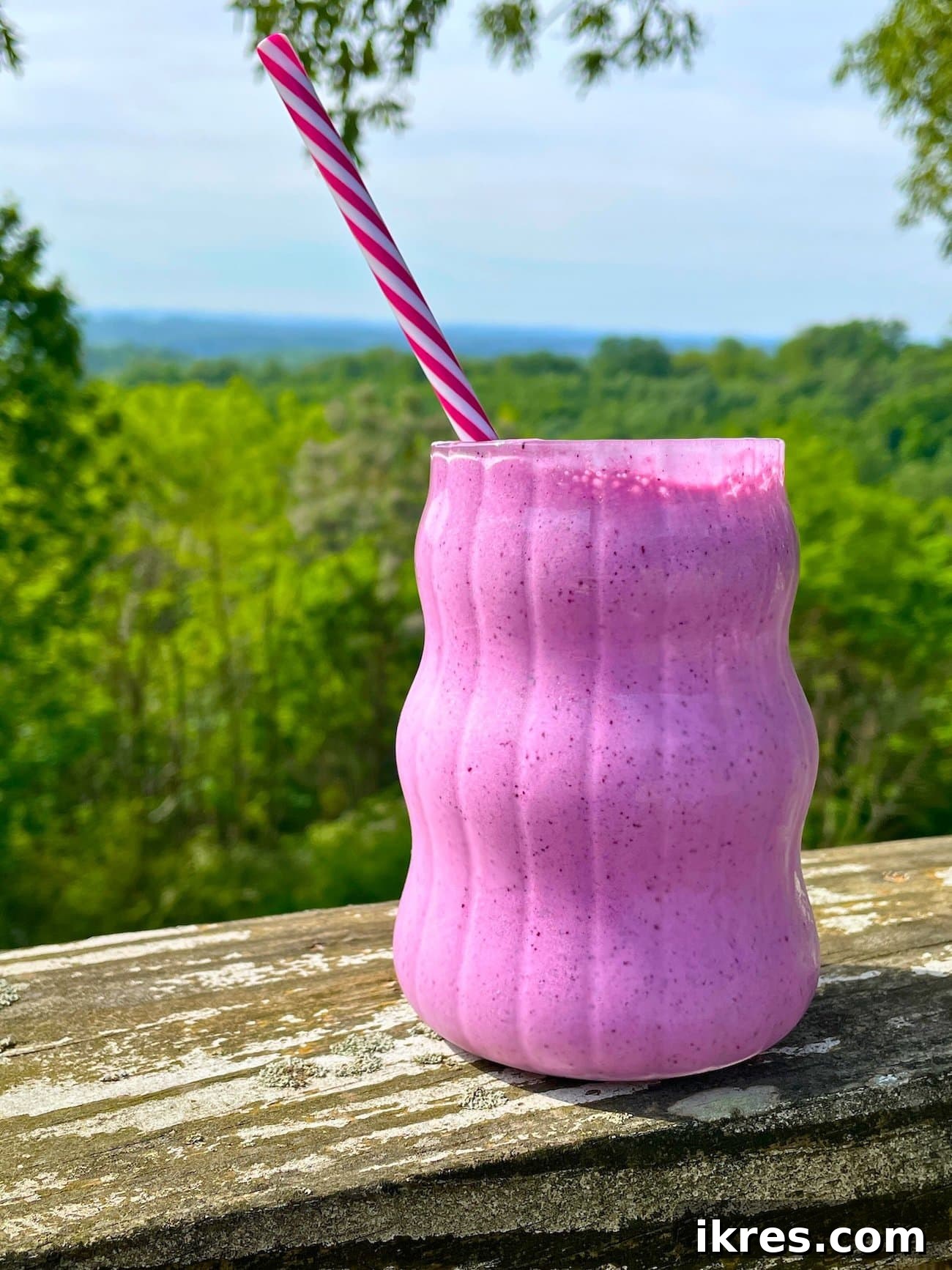 Vibrant Blueberry Pineapple Blast 11 A creamy blueberry pineapple smoothie in a glass with a pink straw, sitting on a wooden railing outdoors with green trees in the background, perfect for a refreshing break.