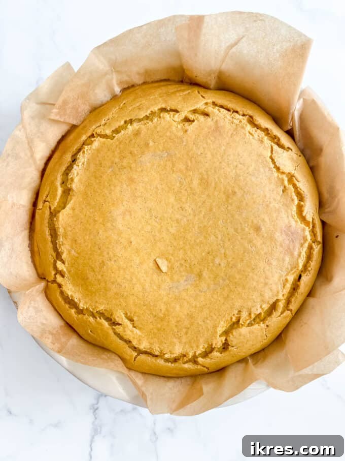 Gingersnap Crusted Pumpkin Cheesecake 11 A perfectly baked pumpkin cheesecake, golden brown around the edges, just out of the oven.
