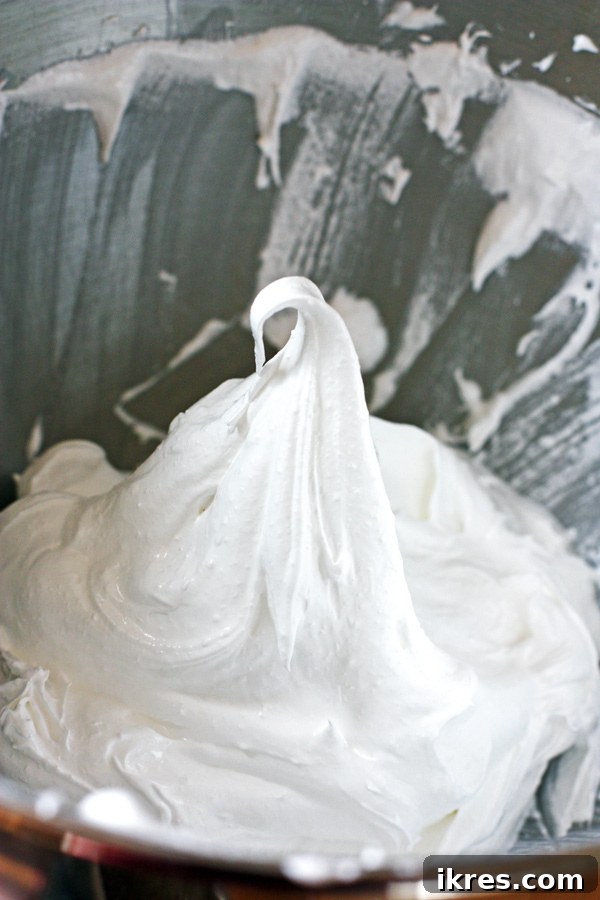 Light Chocolate Chip Meringue Clouds 5 Final glossy meringue mixture with sugar fully incorporated