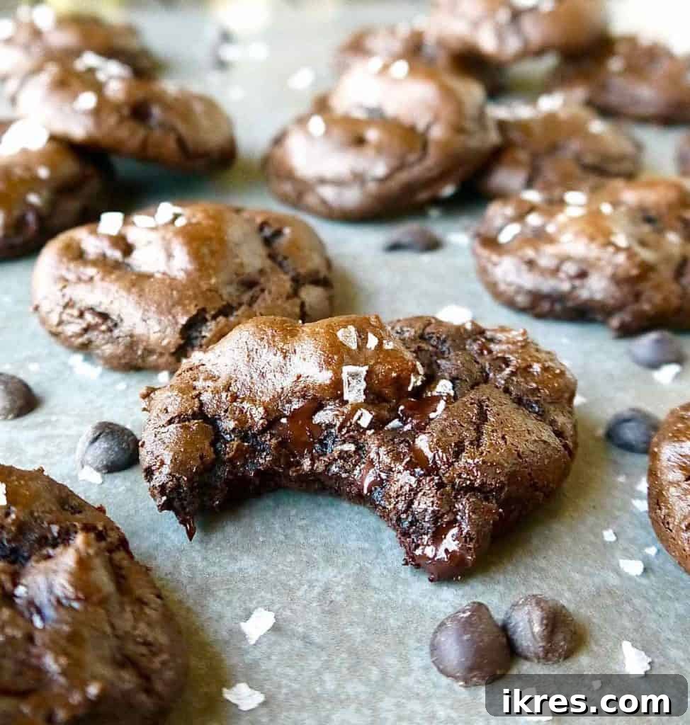 Decadent Paleo Gluten-Free Double Chocolate Chip Cookies 2 A close-up of a perfectly baked gluten-free double chocolate chip cookie with a bite taken out, showing its fudgy interior and melted chocolate chips.