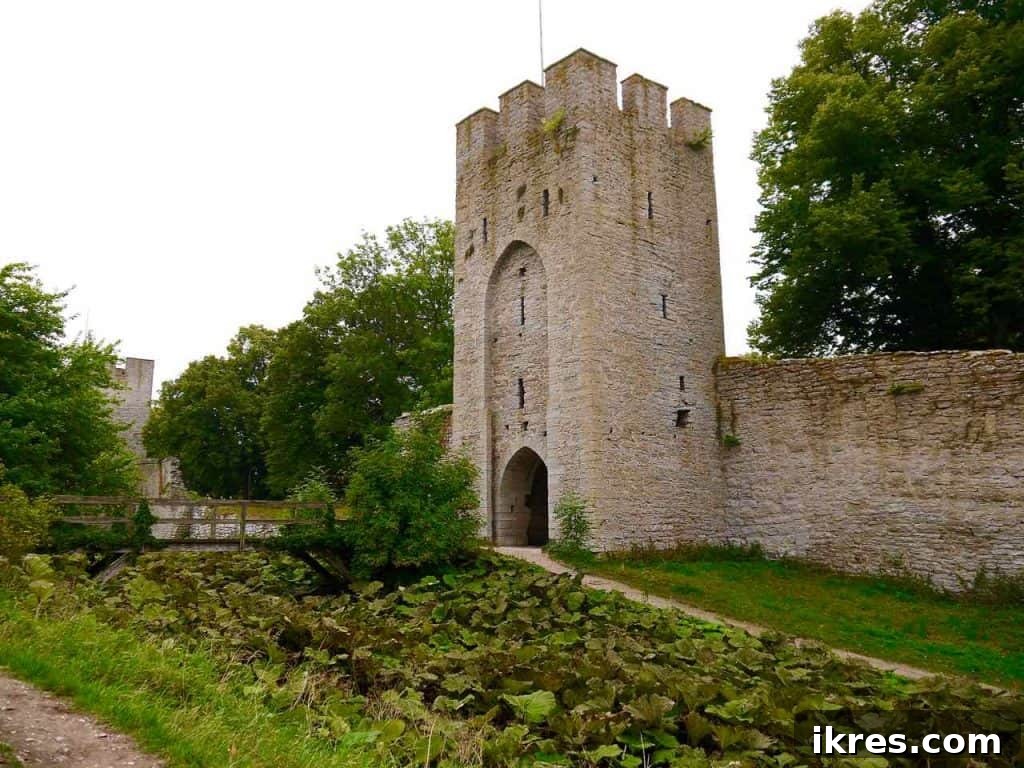 Panoramic view of Visby's historic port and city wall