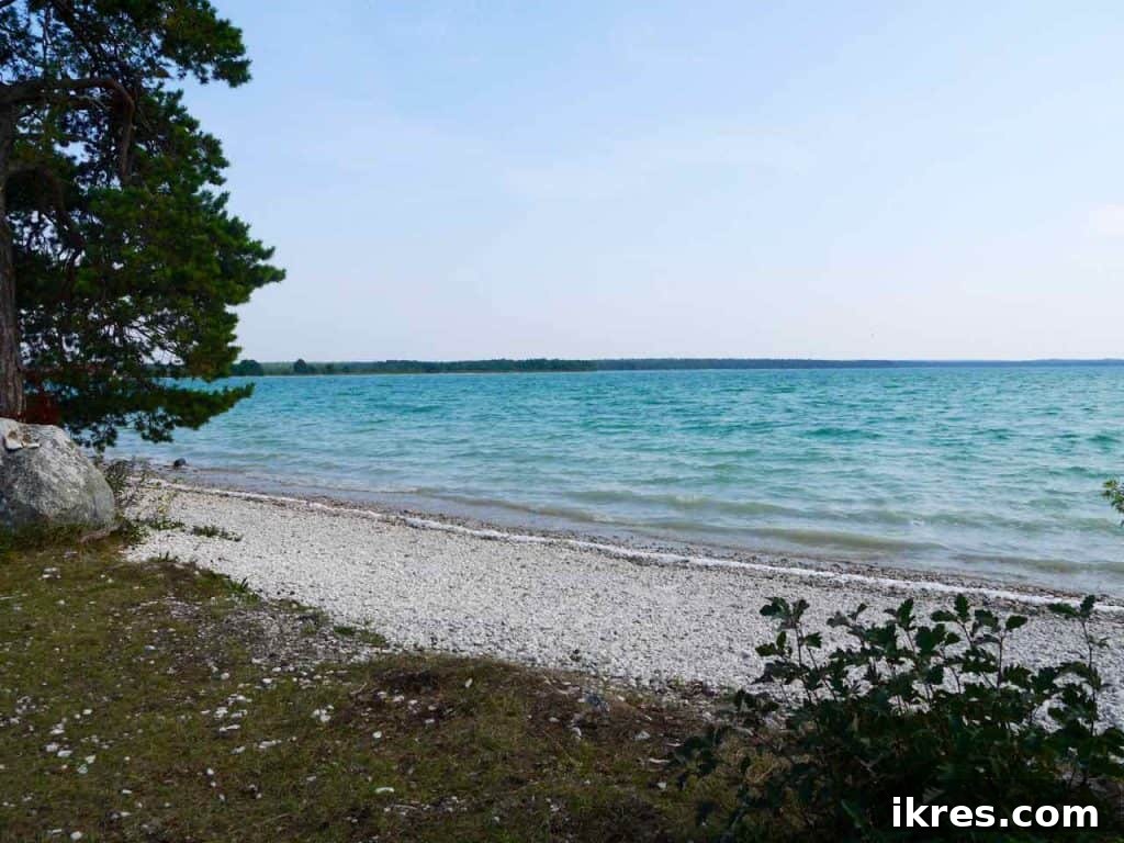 Scenic view of a serene blue lake surrounded by nature