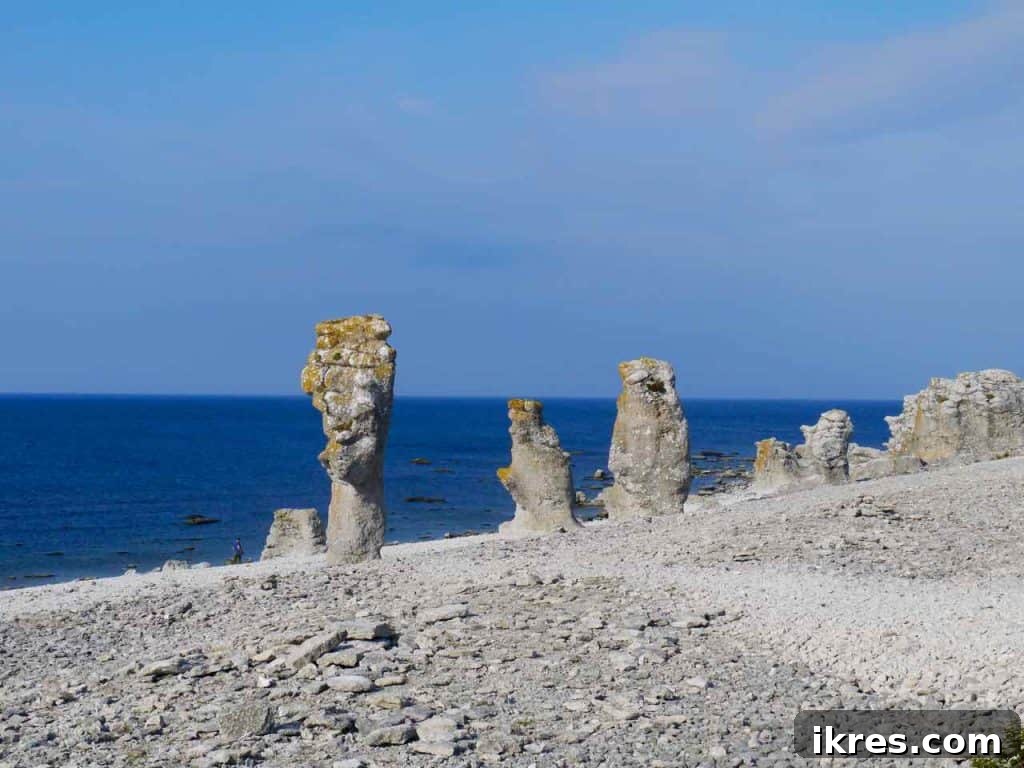 Dramatic sea stacks (raukar) at Langhammars, Fårö