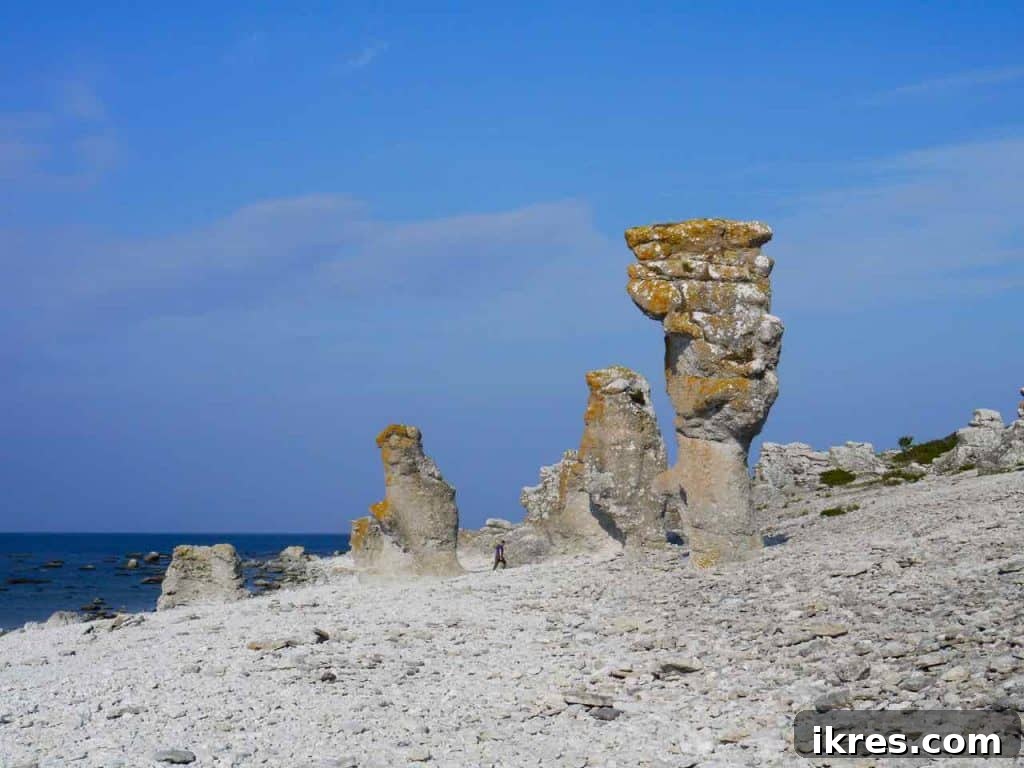 Unique rock formations shaped by nature on Fårö coast