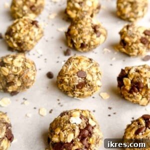 Chia Oatmeal Chocolate Chip Snack Balls