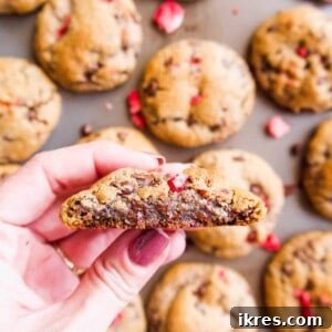 Paleo Strawberry Chocolate Chip Cookies (GF) | Perchance to Cook