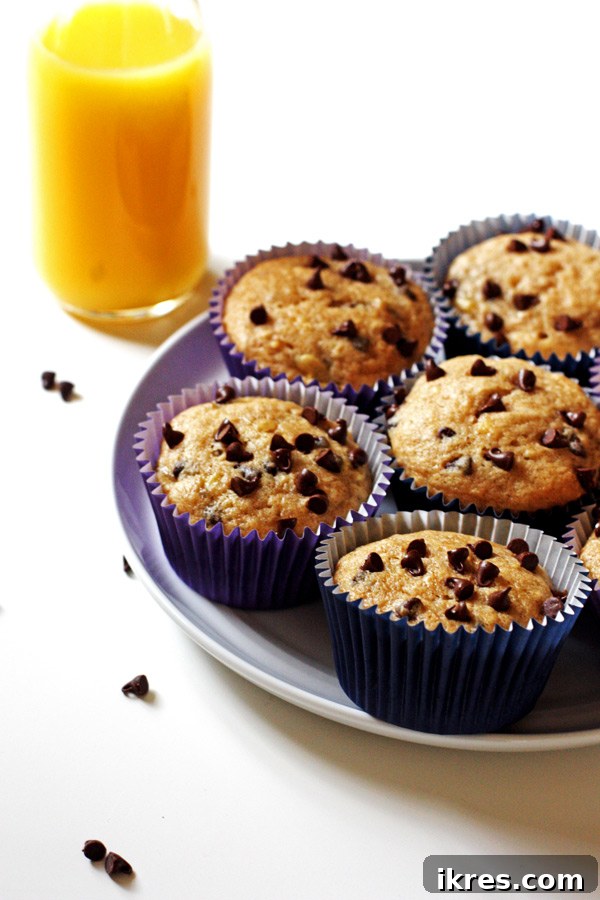 Heavenly Banana Chocolate Chip Muffins 2 Freshly Baked Banana Chocolate Chip Muffins Cooling