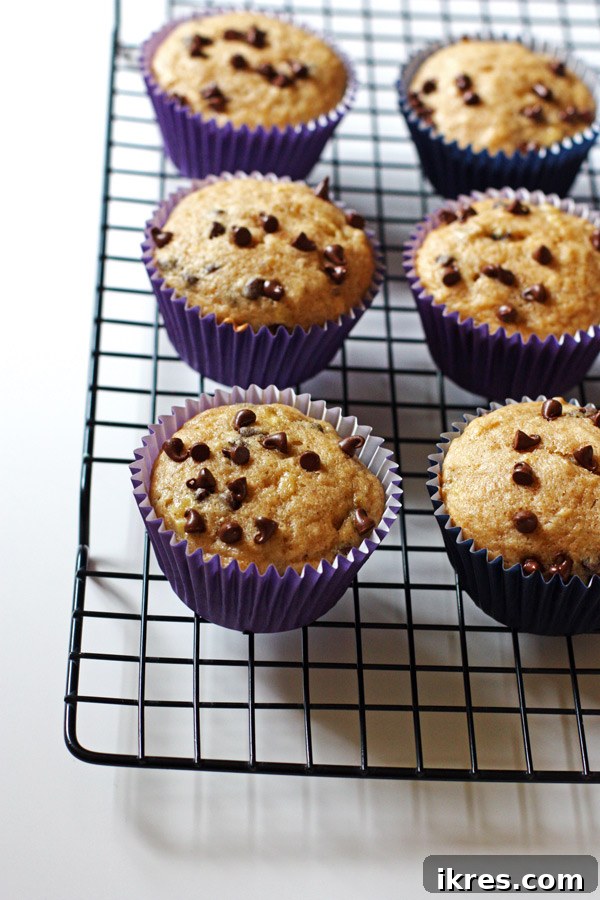Heavenly Banana Chocolate Chip Muffins 3 Close-up of a Banana Chocolate Chip Muffin
