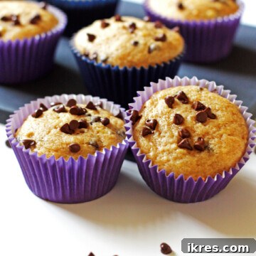 Banana Chocolate Chip Muffins