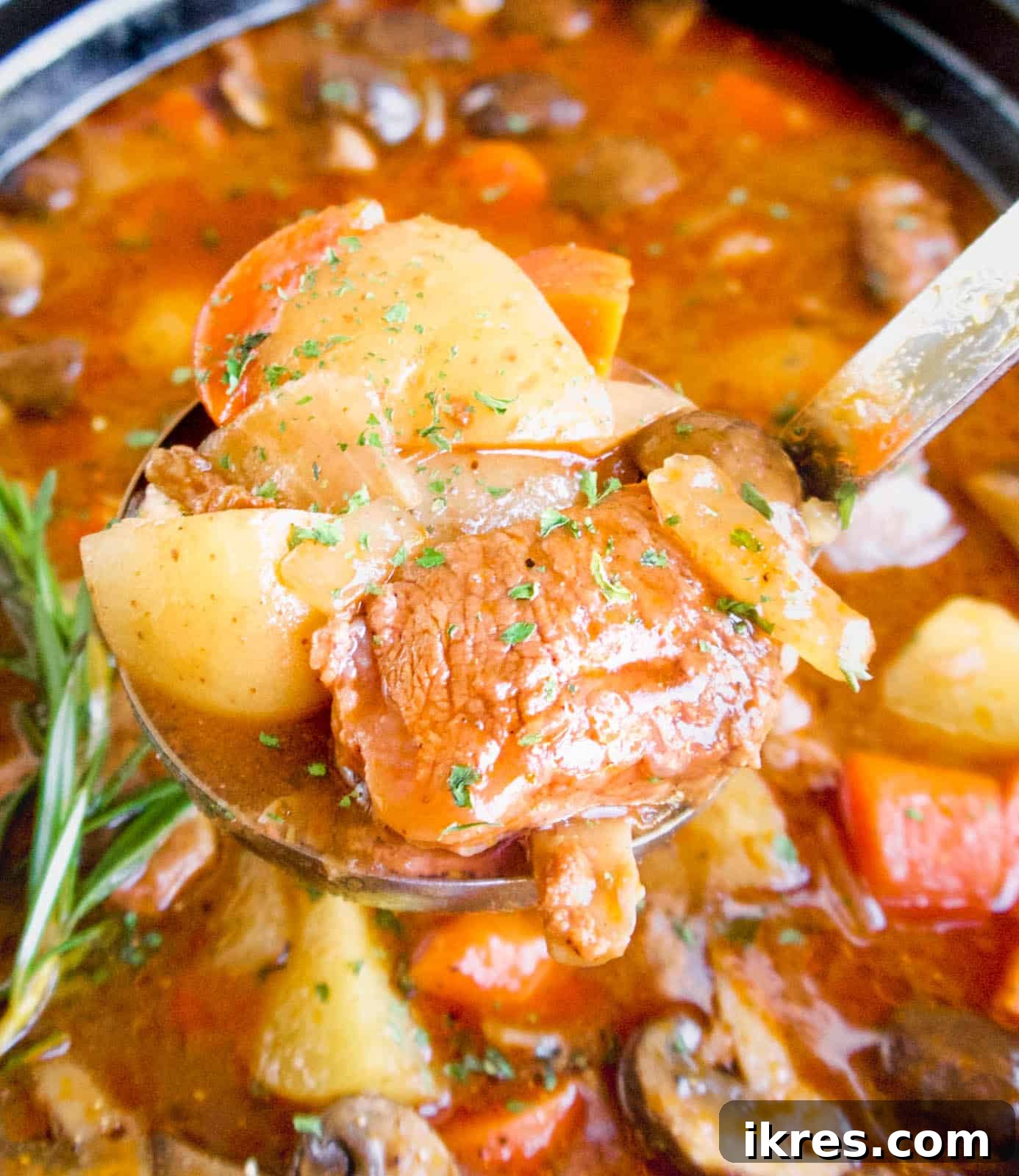 Hearty Slow Cooker Paleo Irish Beef Stew Gluten Free Whole30 8 Paleo Irish stew in a ladle after cooking.