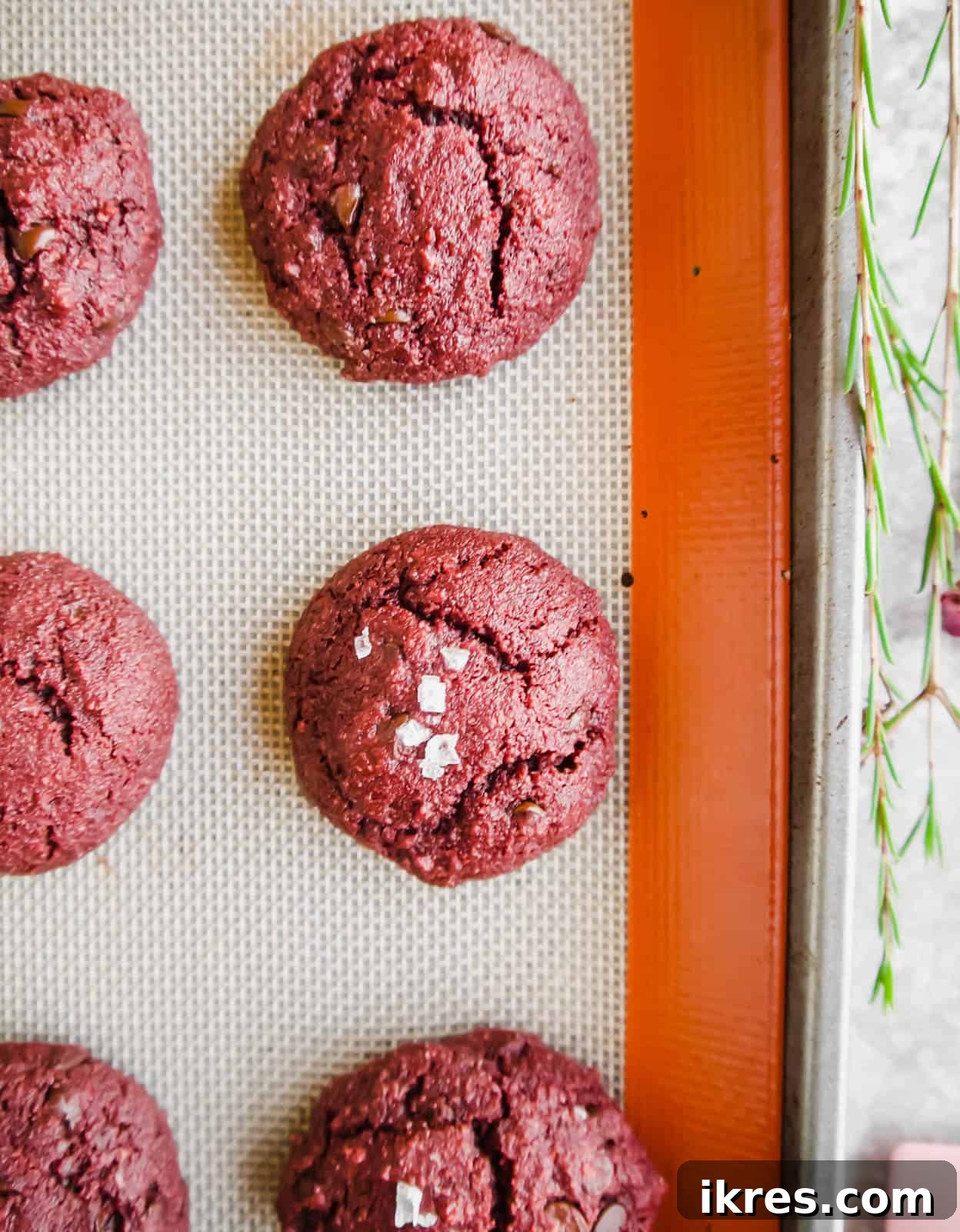 Irresistible Gluten-Free Red Velvet Delights 5 Freshly baked gluten-free red velvet cookies, still warm and inviting, just out of the oven and ready for cooling.