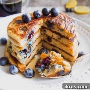 The BEST Paleo Blueberry Pancakes | Perchance to Cook