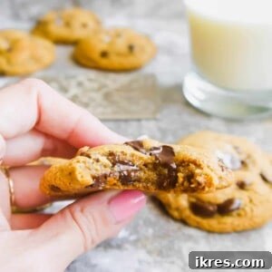 Paleo Coconut Oil Soft Chocolate Chip Cookies | Perchance to Cook