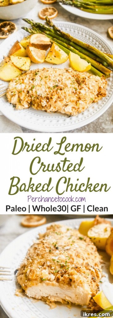 Sun-Kissed Lemon Crusted Chicken Bake 7 Close-up of crispy, golden-brown Dried Lemon Crusted Baked Chicken.