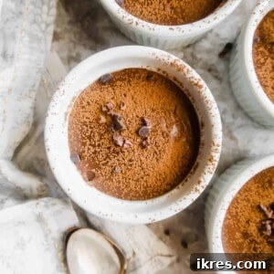 Dairy-free chocolate pudding in ramekins.
