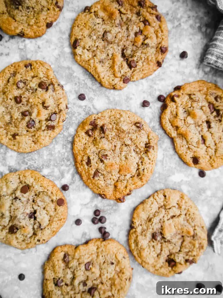 Guilt-Free Gluten-Free Vegan Paleo Cookie Dough 6 Several small, perfectly formed Paleo cookie dough balls, golden brown and freshly baked into delicious cookies, arranged neatly on a baking sheet, showcasing their appealing texture and color.