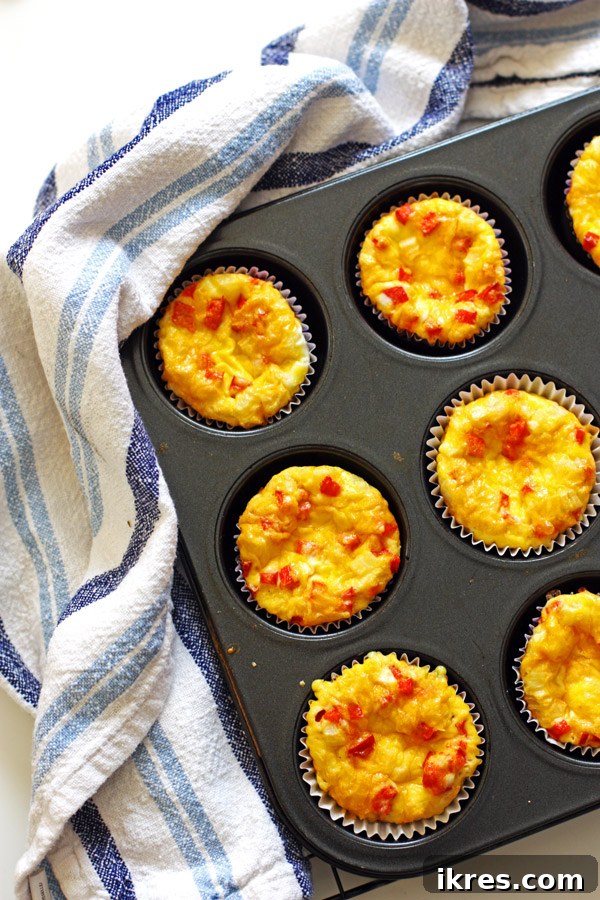 Savory Egg Bites 3 Close-up of perfectly baked Egg Muffins with melted cheese and visible vegetables, presented on a cooling rack.