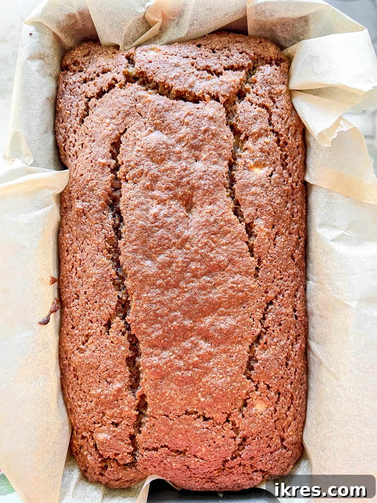 Paleo Banana Bread Grain and Dairy Free 10 Freshly baked Paleo banana bread, golden brown and ready to be cooled.