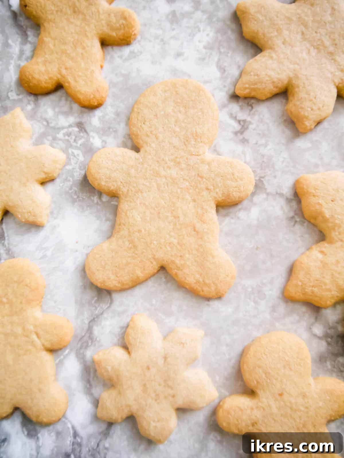 A selection of paleo sugar cookies, naturally sweetened with maple sugar, displayed beautifully.