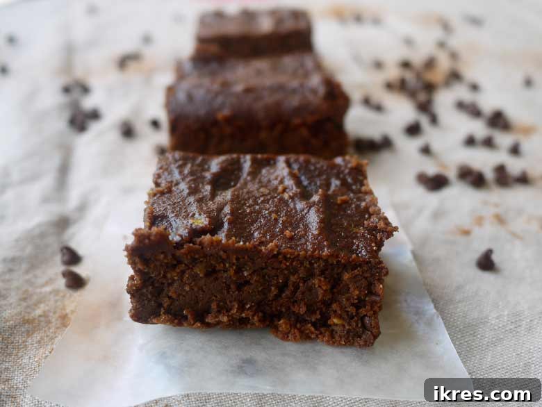 Fudgy Paleo Brownies (GF)--SO good, with the secret ingredient of avocado! | Perchance to Cook