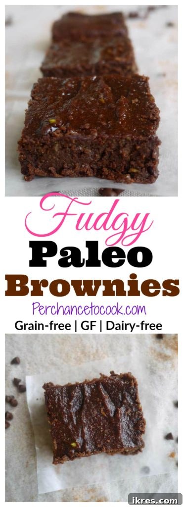Fudgy Paleo Brownies (GF) | Perchance to Cook, www.perchancetocook.com