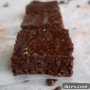 Fudgy Paleo Brownies (GF)