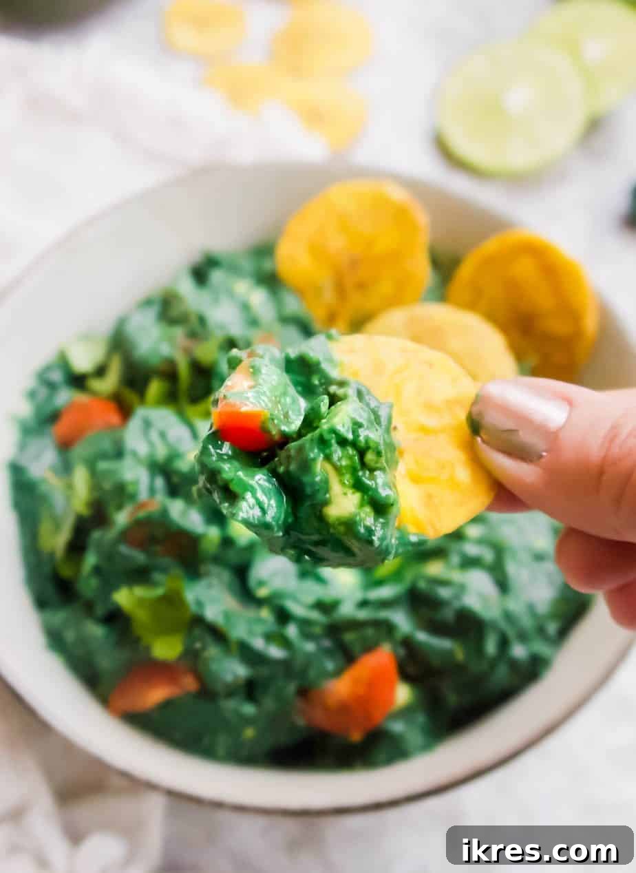 Superfood Spirulina Guacamole 3 A chip dunking into vibrant Spirulina Guacamole, highlighting its inviting texture.