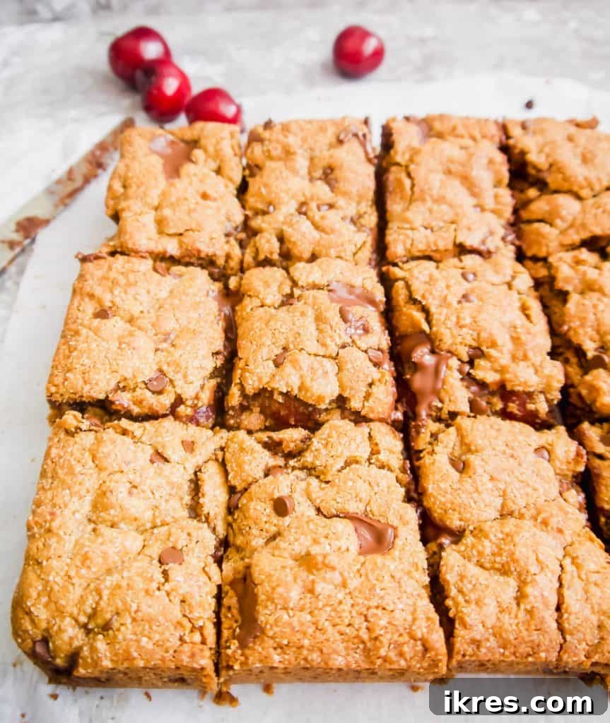 Paleo Gluten-Free Cherry Chocolate Chip Squares 3 Close-up of a Paleo Gluten-Free Chocolate Chip Cherry Cookie Bar, showcasing its gooey texture and fresh cherry pieces.