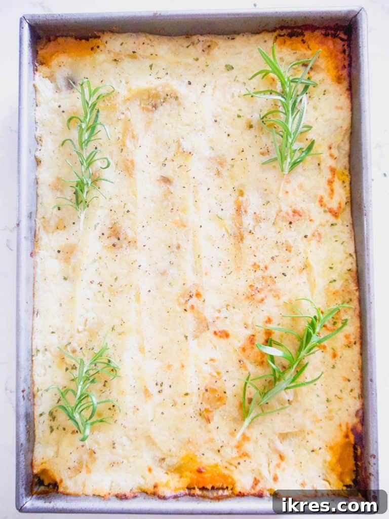 The ground turkey shepherd's pie, golden and bubbly, fresh out of the oven.