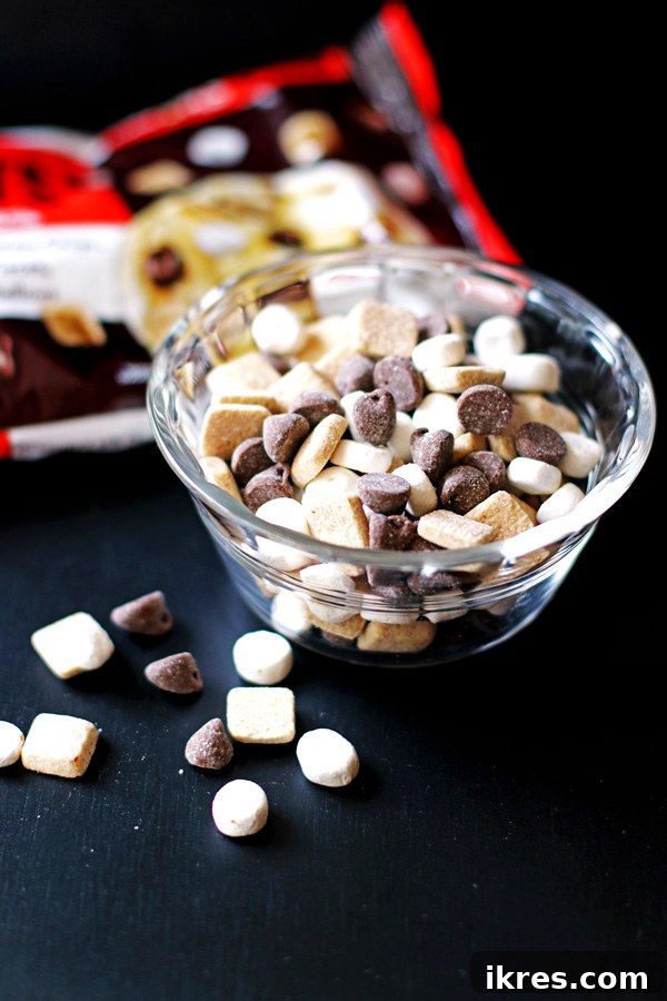 Toasted Smores Cookies 3 A small glass bowl filled with a homemade S'mores cookie mix, including mini marshmallows, chocolate chips, and crushed graham cracker pieces, sits next to an empty bag of Hershey's S'mores Baking Pieces, highlighting the ease of creating a substitute blend for baking.