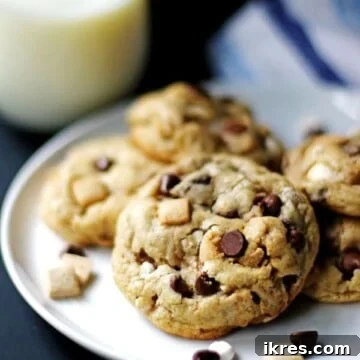 Toasted Smores Cookies 8 Several S'mores Cookies on a white plate with a glass of milk next to them