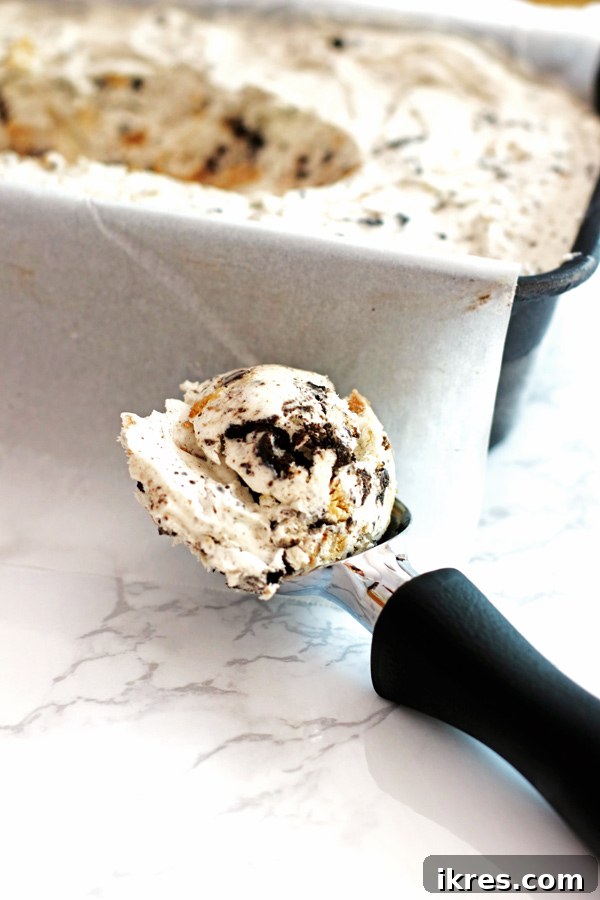 Monster Cookie Dough Dream 3 A loaf pan filled with homemade Cookie Monster ice cream, with a metal ice cream scoop holding a perfect portion, ready to be served.