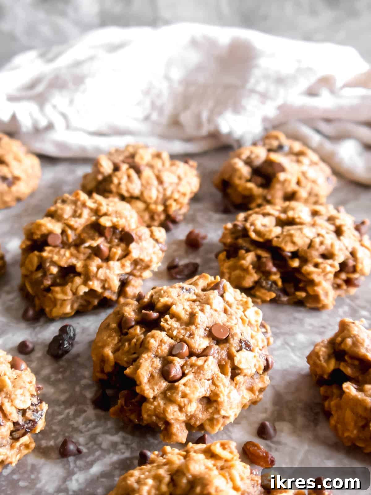 Ultimate Vegan Lactation Treats 2 Lactation cookies on a table with chocolate chip cookies next to them.