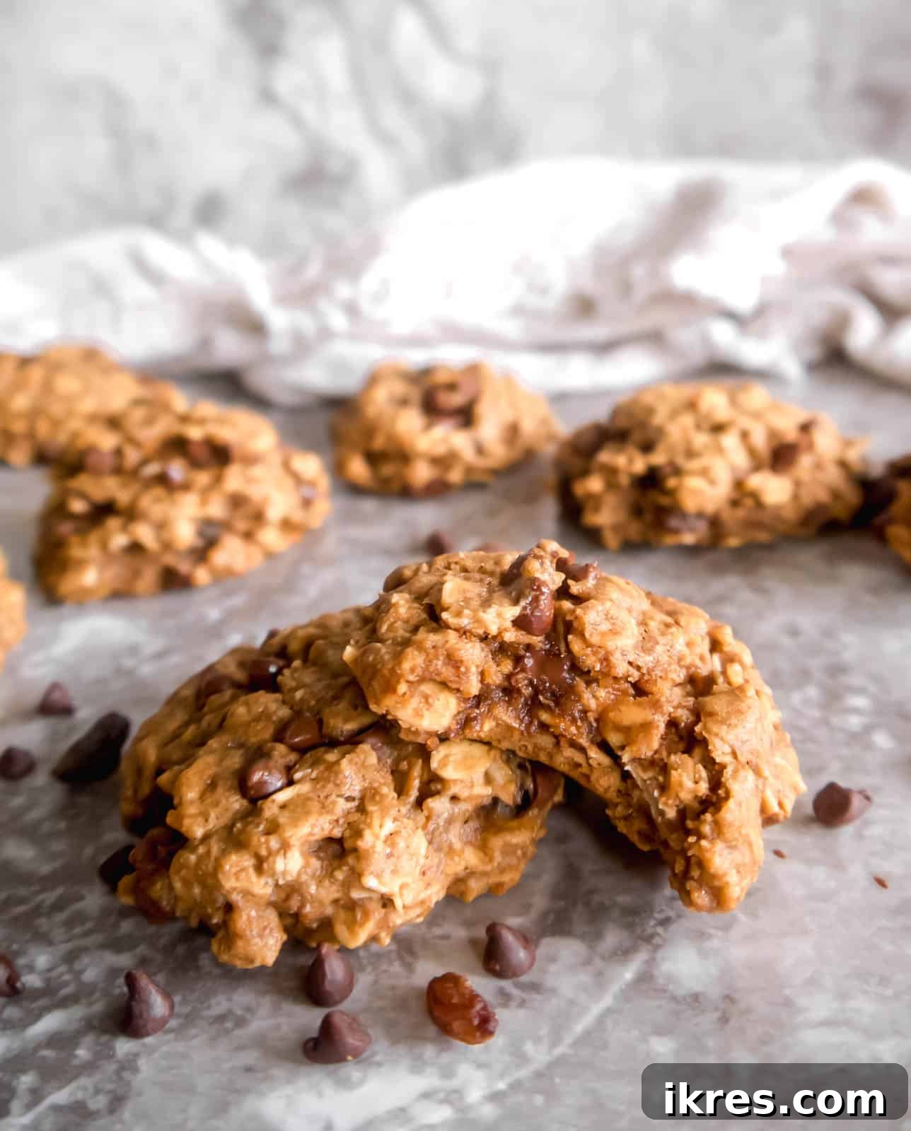 Ultimate Vegan Lactation Treats 3 Dairy free lactation cookies stacked on top of each other with a bite taken out.