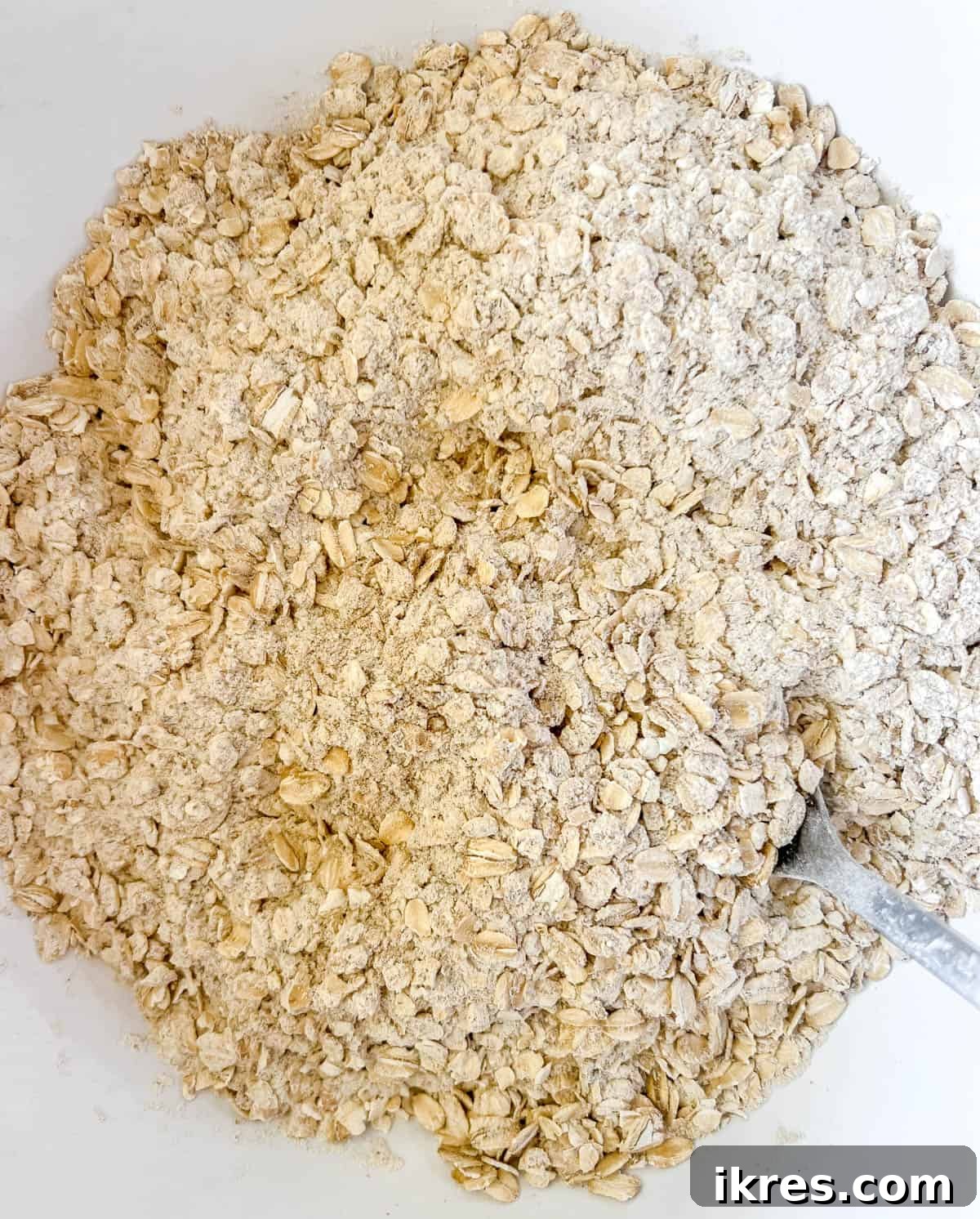 Ultimate Vegan Lactation Treats 5 Dry ingredients in a bowl.