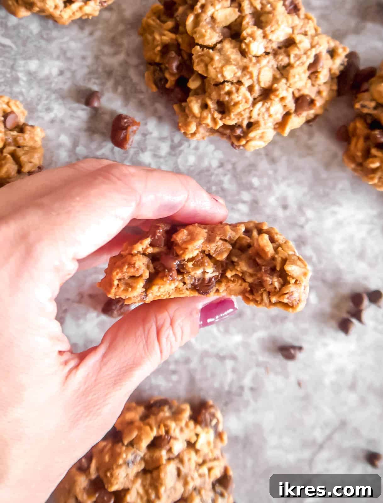 Ultimate Vegan Lactation Treats 9 A bite taken out of a dairy free lactation cookie held in a hand.
