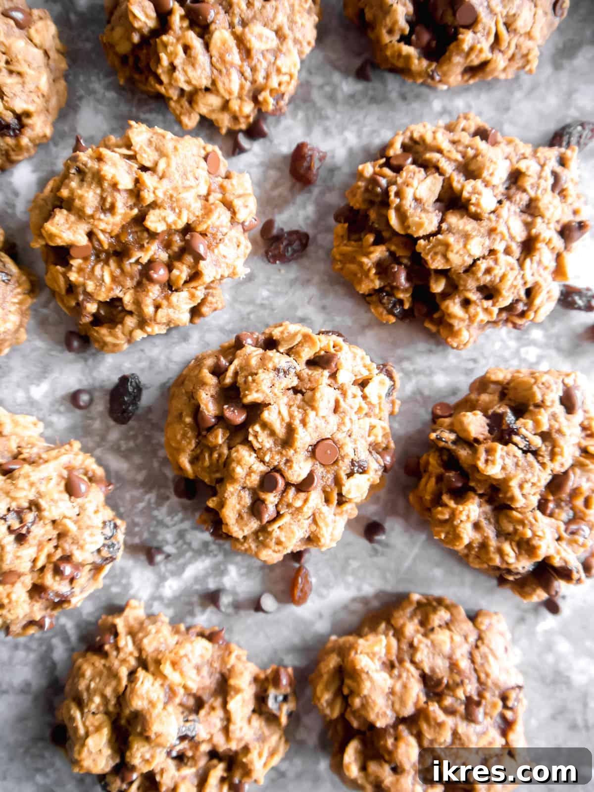 Ultimate Vegan Lactation Treats 10 Lactation cookies surrounded by chocolate chips.