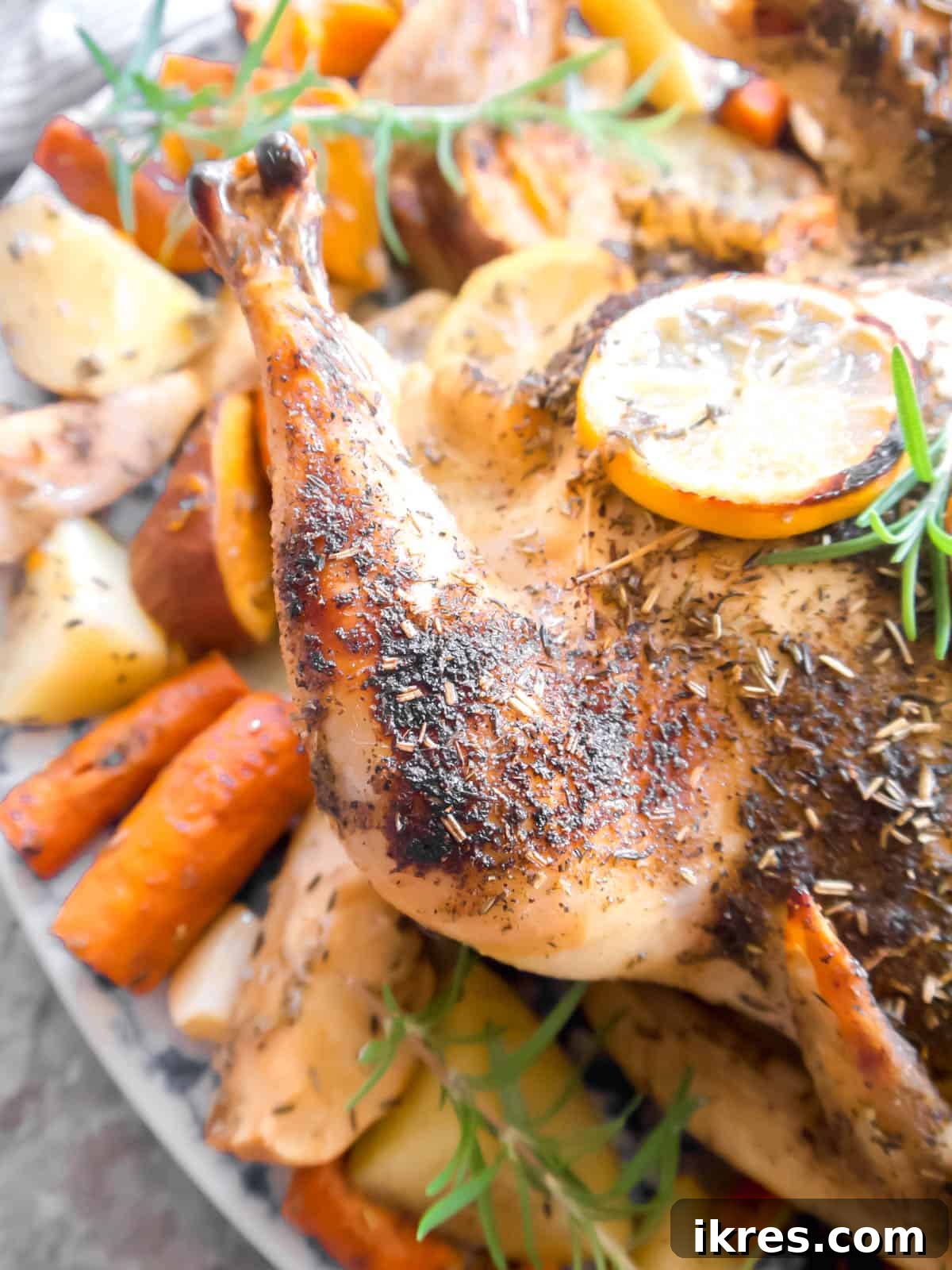 Golden Roast Chicken with Apples and Potatoes Dairy Free 3 Perfectly roasted chicken drumstick with a side of tender apples and potatoes, ready to be served.