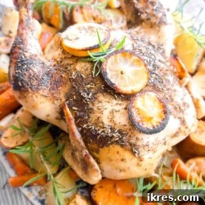 Roast Chicken with Apples and Potatoes (Dairy-free) | Perchance to Cook