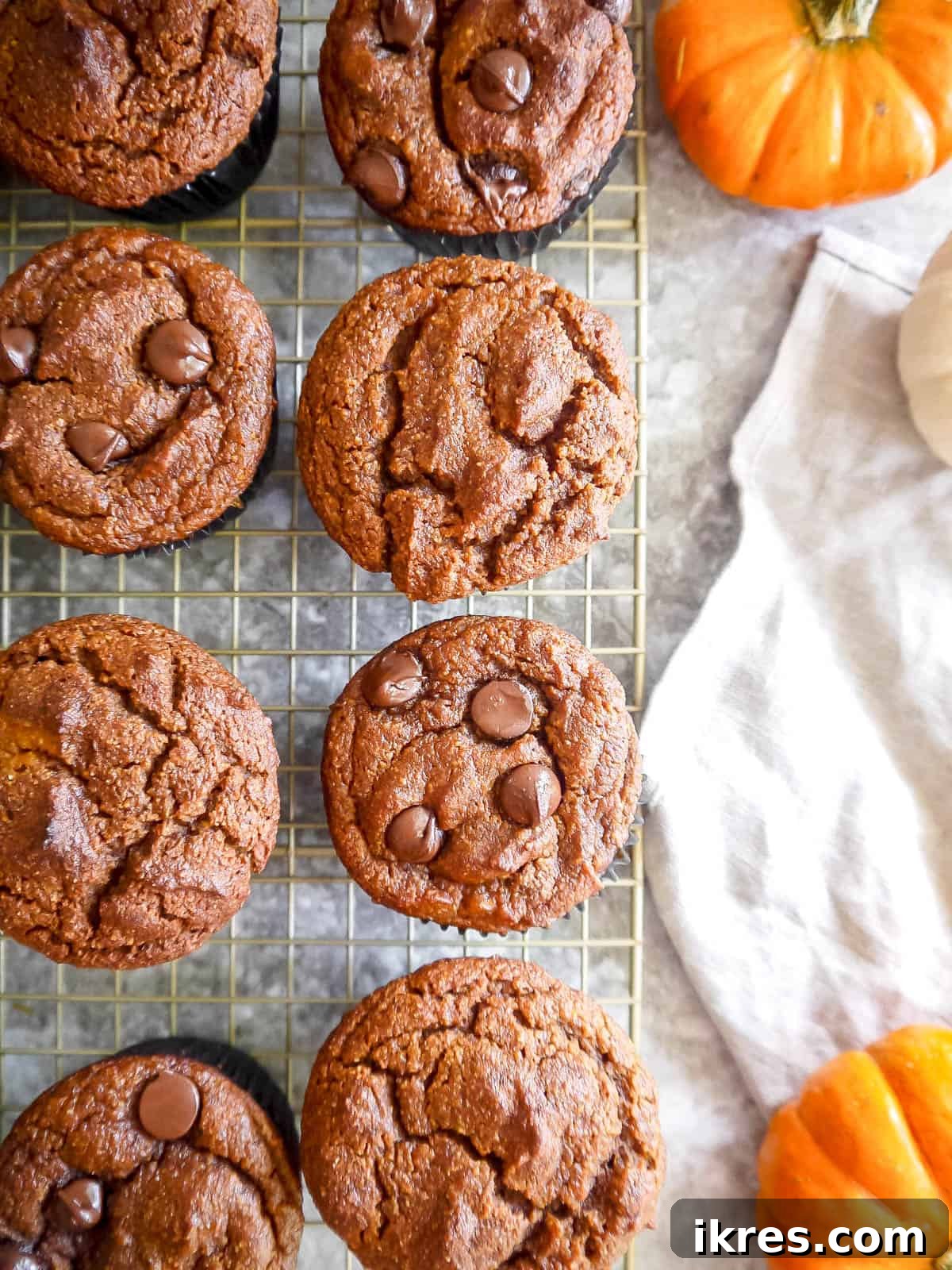 Gluten-free dairy-free pumpkin muffins cooling on a drying rack after baking.
