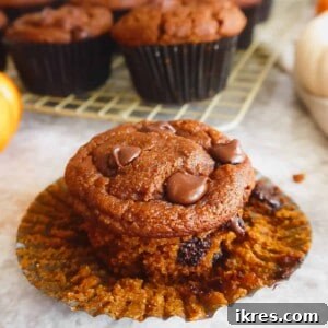 Easy Paleo Pumpkin Muffins | Perchance to Cook