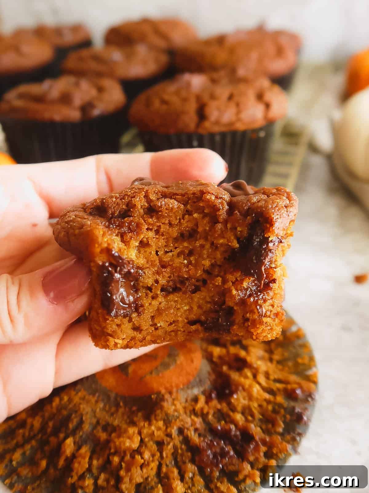 A dairy-free pumpkin muffin with chocolate chips, showing a bite taken out, highlighting its moist texture.