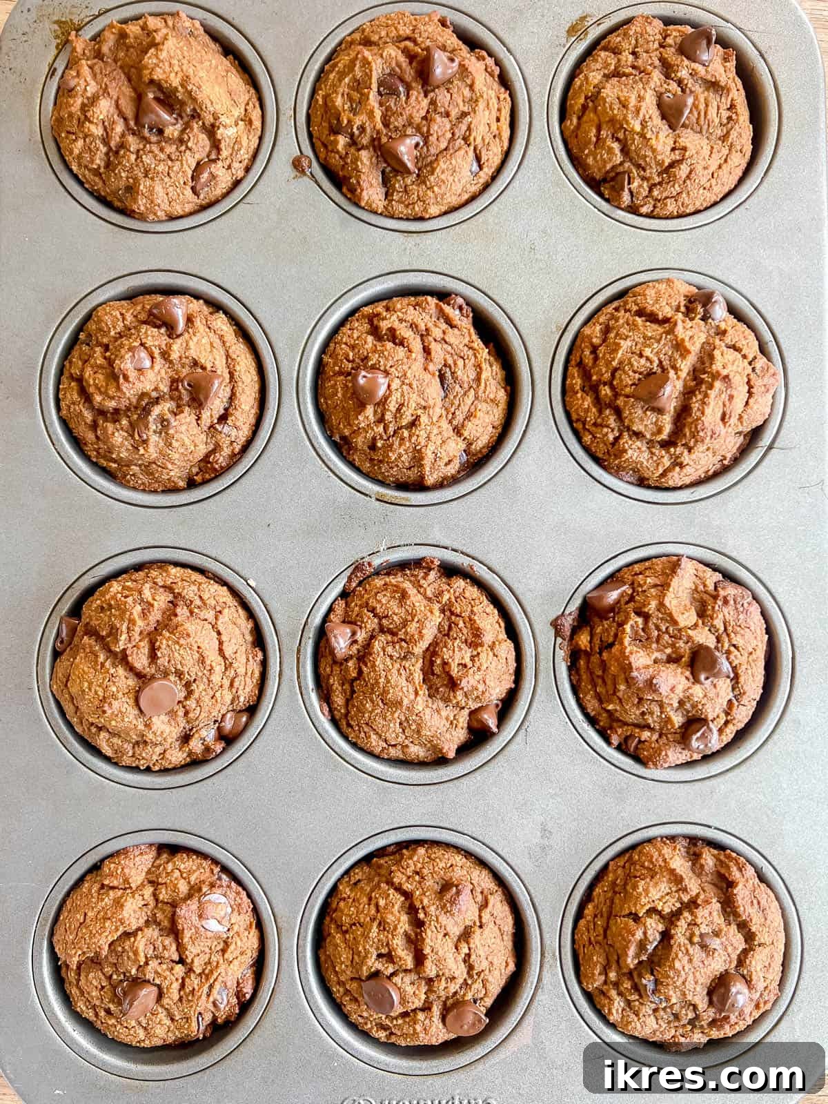 Baked Paleo pumpkin muffins cooling on a rack after baking.