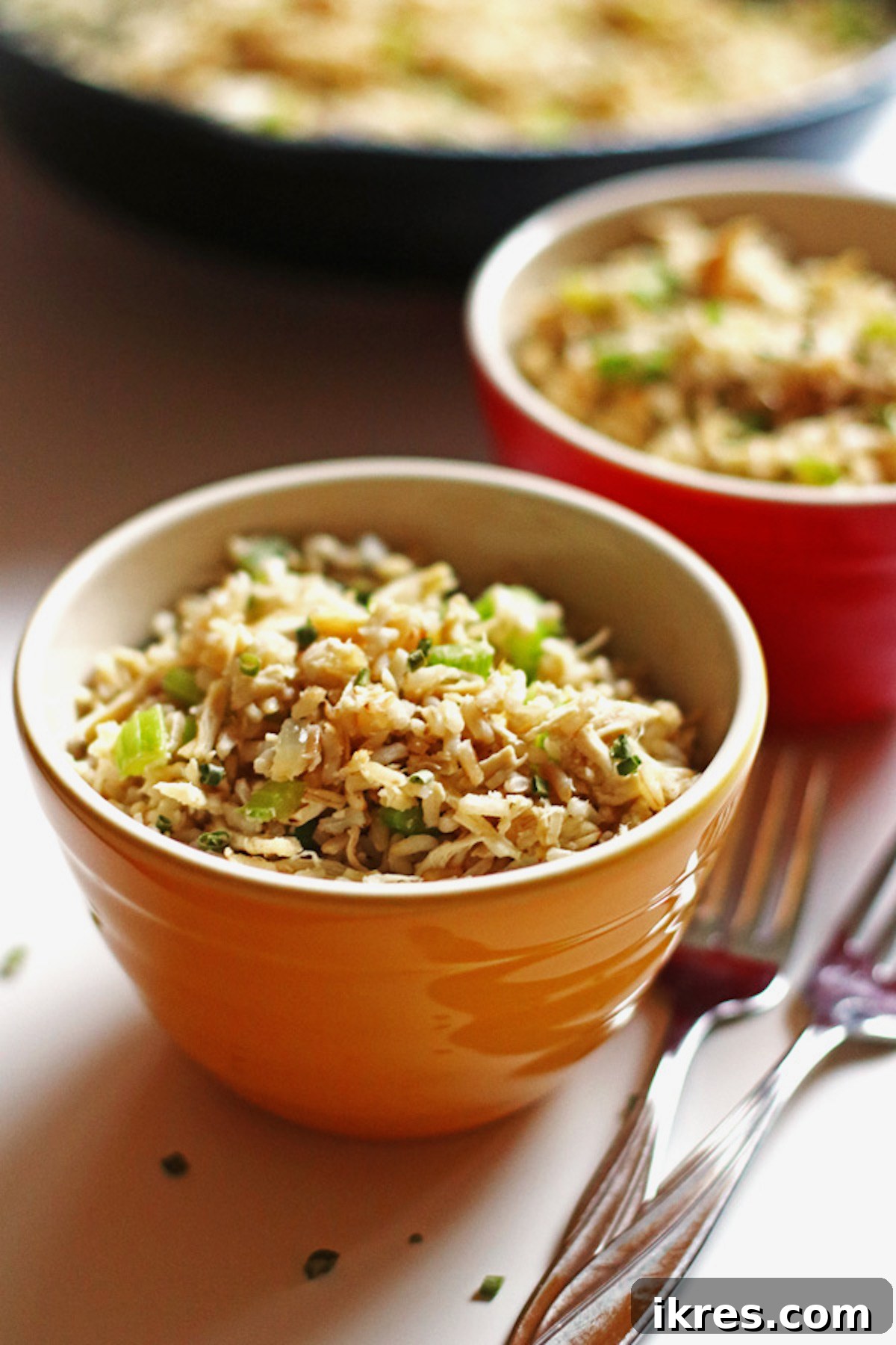 Effortless Chicken Stir-Fry 2 Two small bowls of delicious chicken and vegetable stir fry, garnished with green onions, ready to be served. A perfect healthy meal for any night.