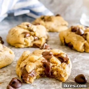 Olive Oil Chocolate Chip Cookies (Dairy-free) | Perchance to Cook