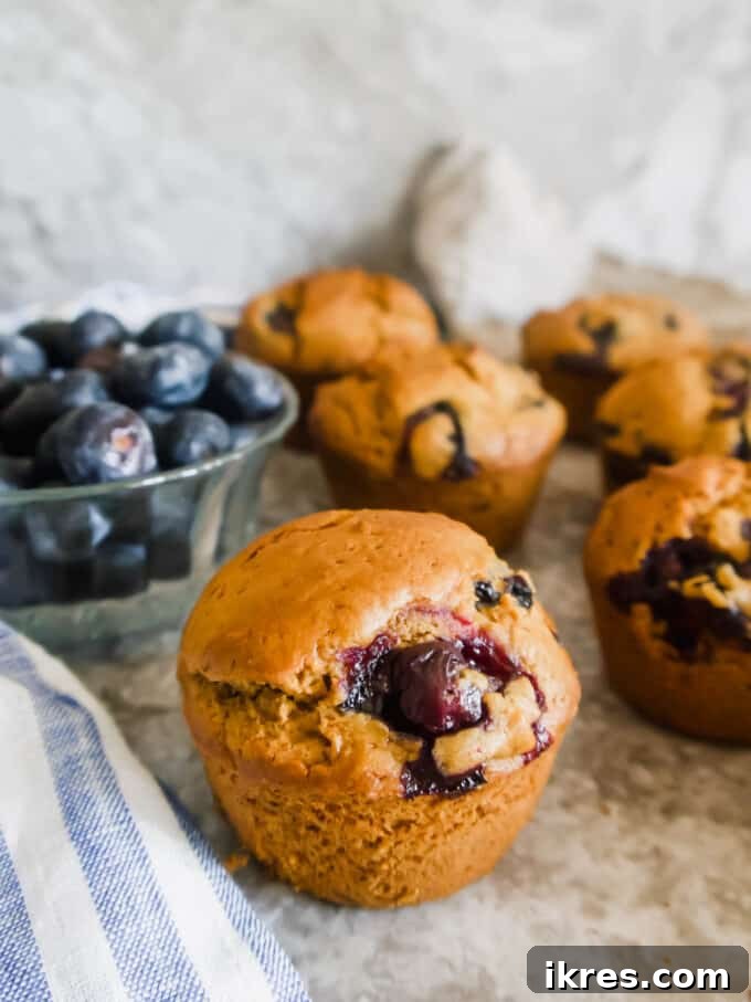 Naturally Dairy-Free Olive Oil Blueberry Muffins 11 A freshly baked dairy-free blueberry muffin resting on a wire rack to cool.