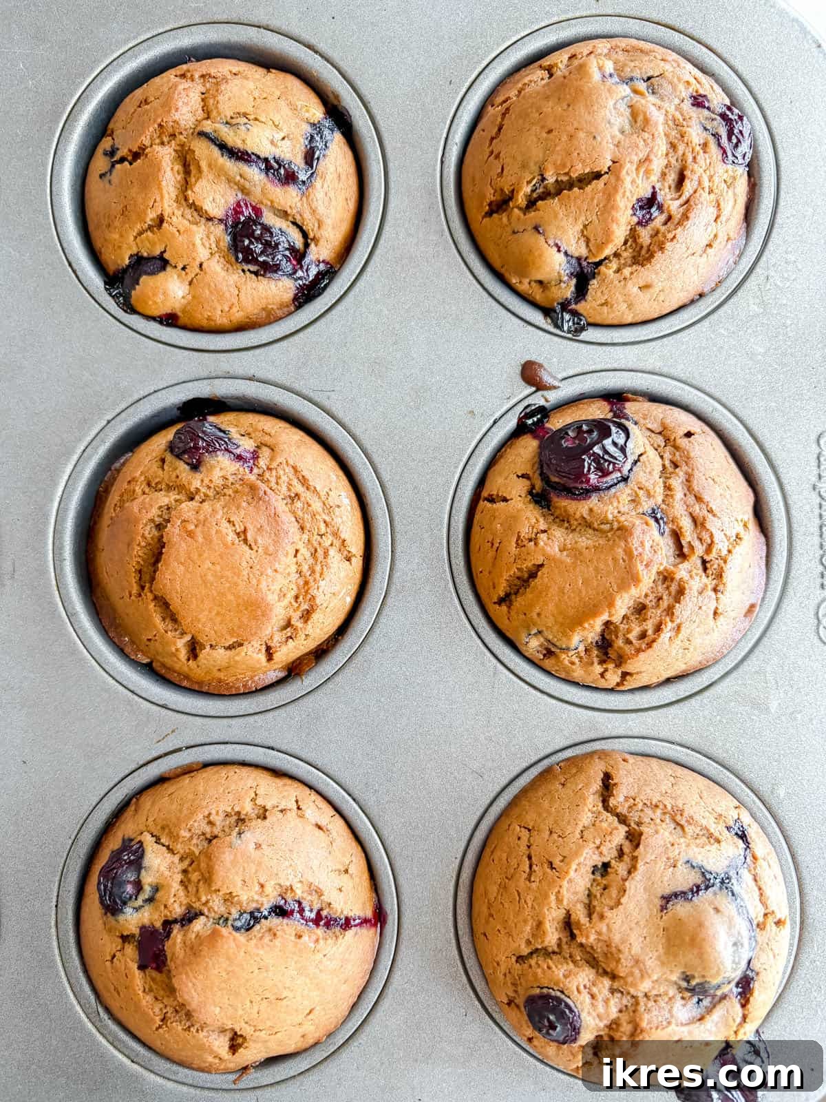 Naturally Dairy-Free Olive Oil Blueberry Muffins 10 Baked dairy-free blueberry muffins in a muffin tin, golden brown and risen.