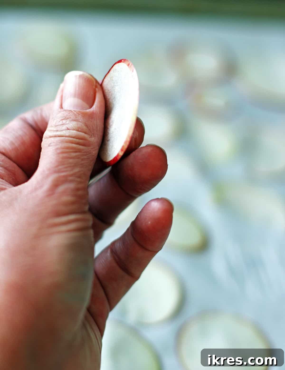 Sweet & Crunchy Oven Apple Treats 4 A hand holding a perfectly thin slice of an apple, demonstrating ideal thickness for apple chips.